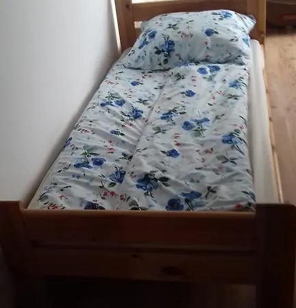 U Ani